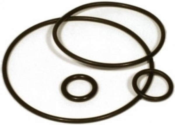 Gasket 4.2 x 1 mm Gasket 4.2 x 1 mm